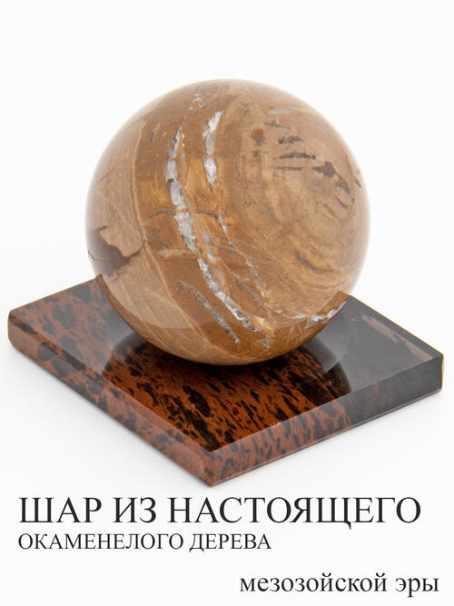 Шар из окаменелого дерева