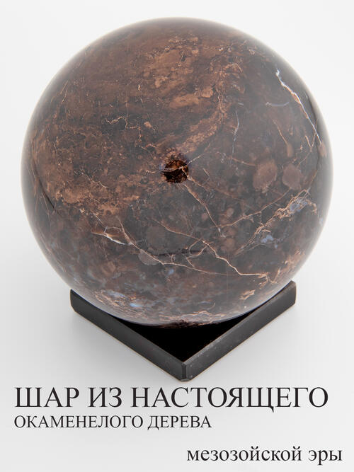 Шар из окаменелого дерева